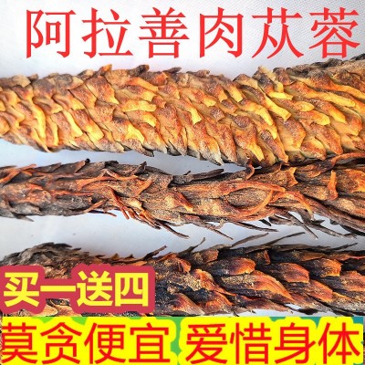 内蒙古阿拉善油性肉苁蓉500g男性泡酒料整根非野生锁阳材图2