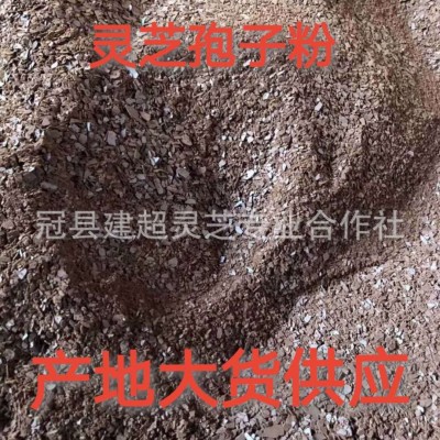 赤芝孢子粉 椴木孢子粉 紫芝孢子粉 灵芝粉 产地批发图2