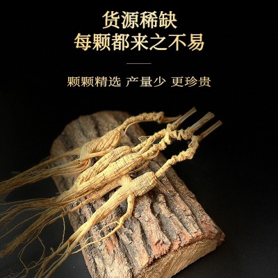 长白山林下参干货整支生晒20年散装野山人参林下籽产地批 发礼盒装图2