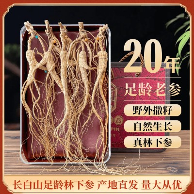 长白山林下参干货整支生晒20年散装野山人参林下籽产地批 发礼盒装