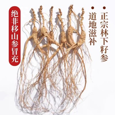 长白山林下参干货整支生晒20年散装野山人参林下籽产地批 发礼盒装图4