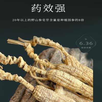 长白山林下参干货整支生晒20年散装野山人参林下籽产地批 发礼盒装图3