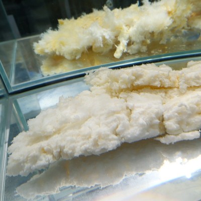 长白山溶洞太岁肉灵芝水野生活太岁肉整块石太岁100g石太岁展馆图3