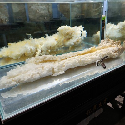 长白山溶洞太岁肉灵芝水野生活太岁肉整块石太岁100g石太岁展馆图2