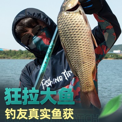 碧泉青龙鱼竿碳素钓鱼竿手杆高档超轻超硬19调台钓竿鲤鱼竿大物竿图4