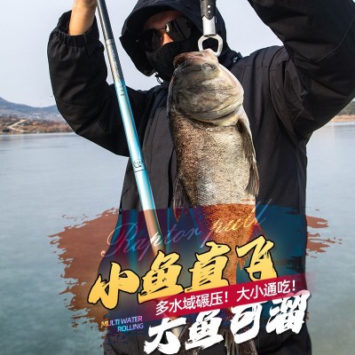 碧泉青龙钓鱼竿手竿高碳超轻超硬19调台钓竿28调黑坑鲫鲤鱼竿批发图4