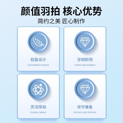 匹克（PEAK）羽毛球拍对拍升级套装含羽毛球训练比赛凹槽羽拍2支图2