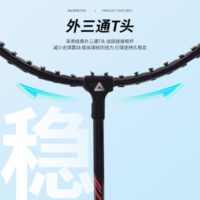 匹克（PEAK）羽毛球拍对拍升级套装含羽毛球训练比赛凹槽羽拍2支图4